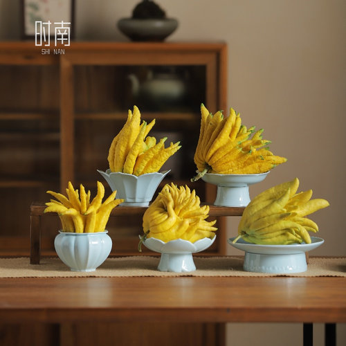 时南中式可水养佛手柑托盘器皿