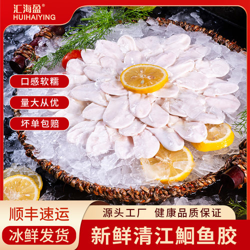 汇海盈鮰鱼胶鮰鱼泡商用