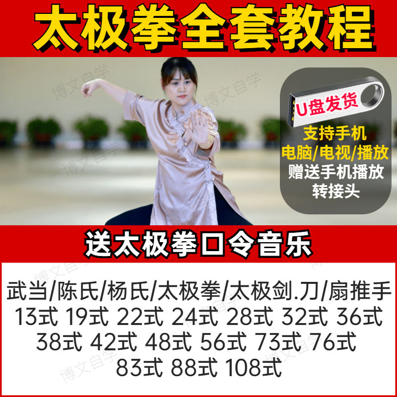 太极拳教程高清视频U盘零基础八段锦吴阿敏陈氏杨氏分解二十四试