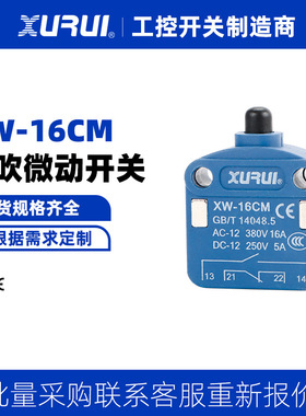 小型磁吹式开关微动速动推压塞住型开关XW-16M蓝色柜门按压式