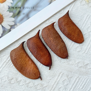 【音符豆】天然植物果壳豆荚手工DIY艺术装饰干花幼儿环创苏木果