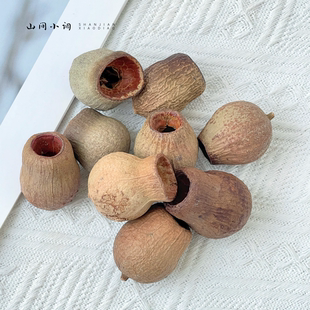 【咕嘟果】天然植物果实进口烟斗果豌豆果壳手工diy材料幼儿环创