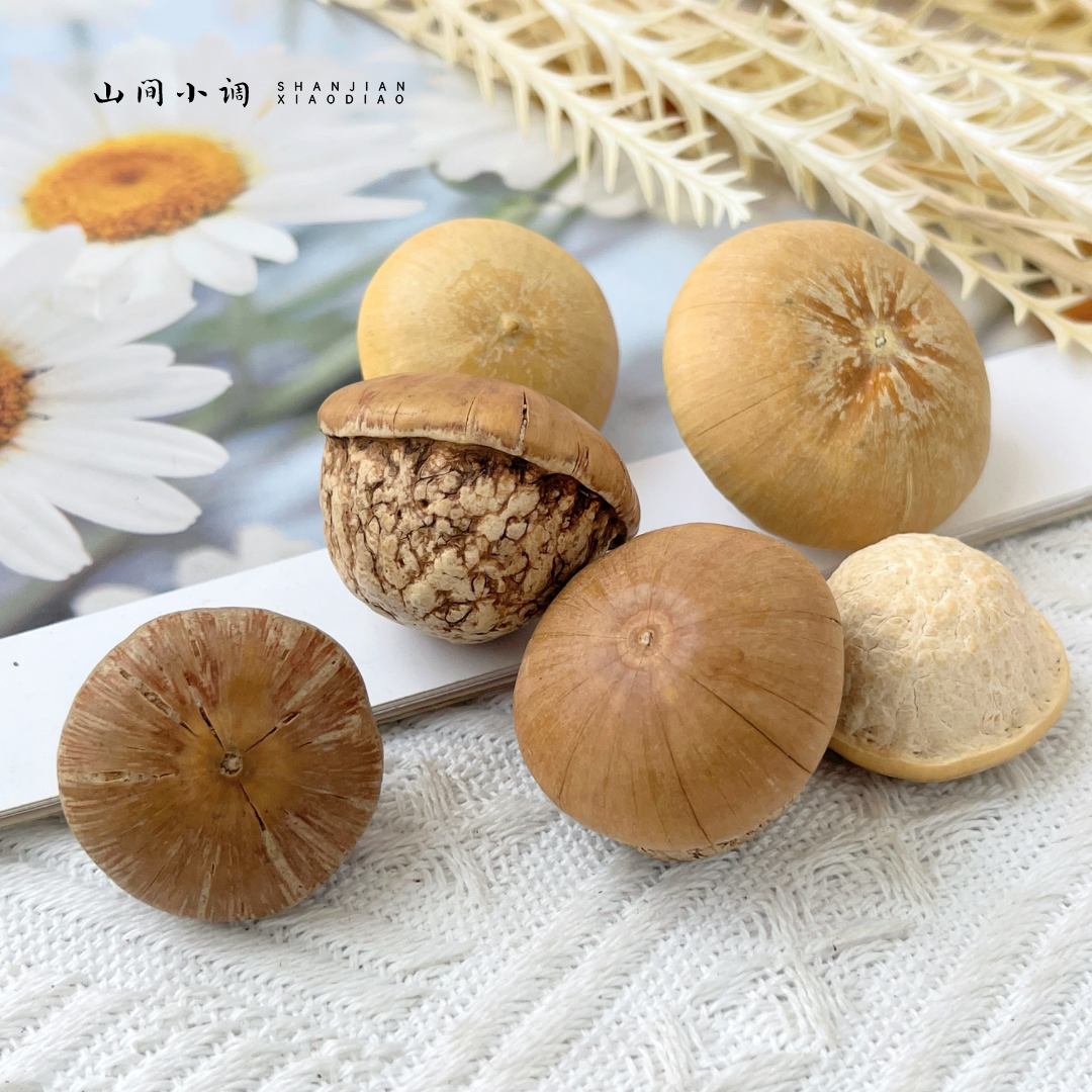 【玉蘑菇】天然植物果实居家装饰干花插花干燥花礼盒乡村复古饰品,家居饰品,干花/花瓣/干花包/干树枝,淘宝优惠券,粉丝福利购,淘宝优惠卷