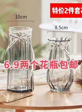 【二件套】欧式玻璃花瓶透明彩色水培植物花瓶客厅摆件装饰插花瓶
