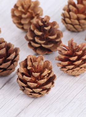Dried pine cones Christmas decorations props accessories松果