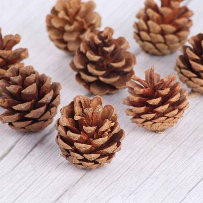 Dried pine cones Christmas decorations props accessories松果
