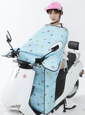 新品Xiuamen season elerctric car is winded by electric car w