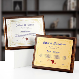 创意奖牌定制定做木质授权牌荣誉牌匾木托金箔铜牌加盟商纪念表彰