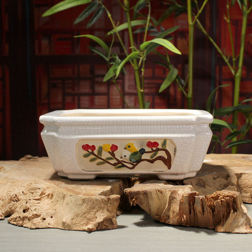 陶瓷裂纹手绘石湾盆小号盆景盆