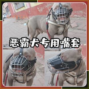 美国恶霸犬专用狗狗嘴套卡斯罗比特犬藏獒防咬人误食护嘴巴套嘴罩