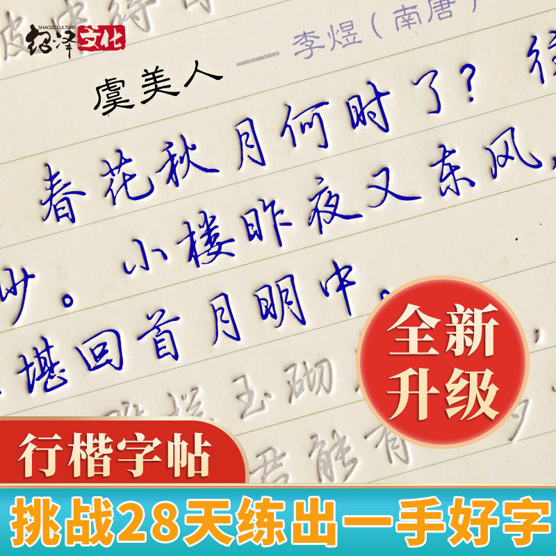 学生临摹练字帖硬笔行书