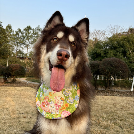 狗狗口水巾吸口水围兜大中型犬防水防脏可爱双面新款夏季新款阿拉