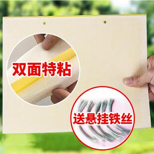 达豪双面黄板粘虫板农庄宝果蝇贴防水果蝇针蜂蓟马粘胶20张包邮