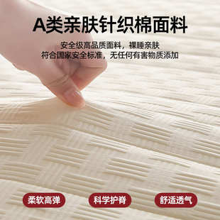 加厚乳胶床垫家用卧室软垫租房专用榻榻米床垫子宿舍学生单人垫褥
