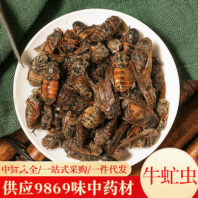 牛虻虫25克包邮 中药材牛苍蝇 牛虻 牛牤虫 牛氓虫 店有五谷虫