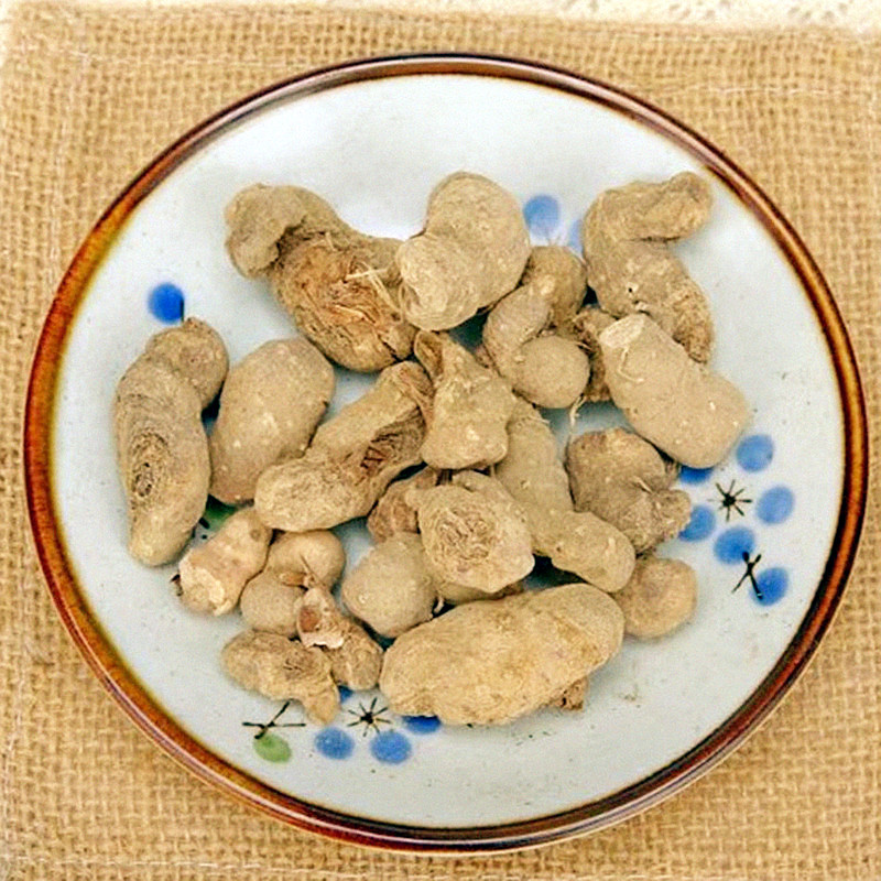 中药材野土三七紫三七狗头三七 菊三七 水三七血三七血当归500g