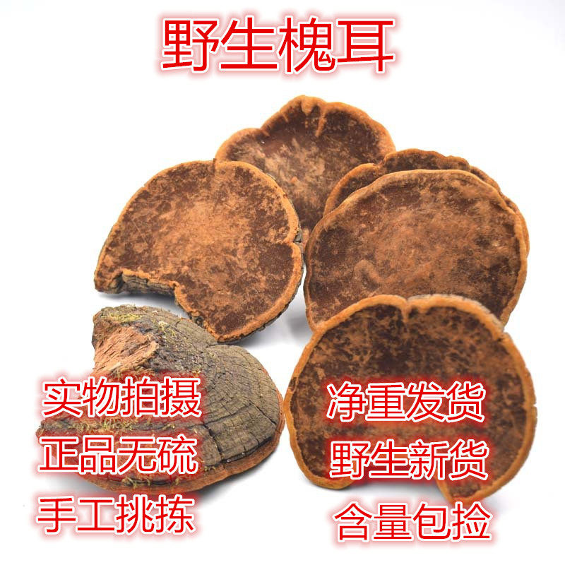 野生槐耳槐蛾槐菌槐蘑槐灵芝粉