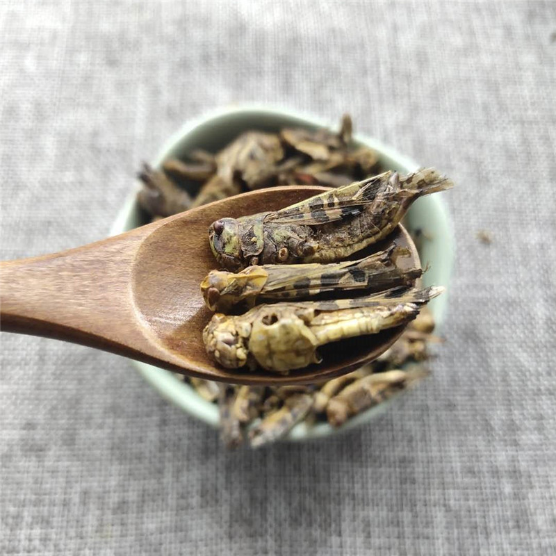 蝗虫干蚂蚱干蚱蜢干药用精选中药材500g包邮可磨粉 做鸟食 换羽料