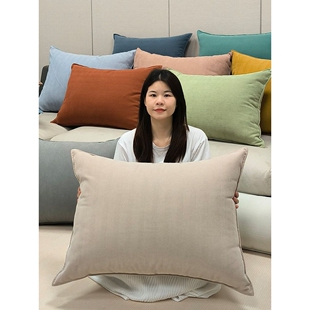 2025长方形抱枕套罩大尺寸靠垫靠枕不含芯客厅沙发床头枕头靠背60