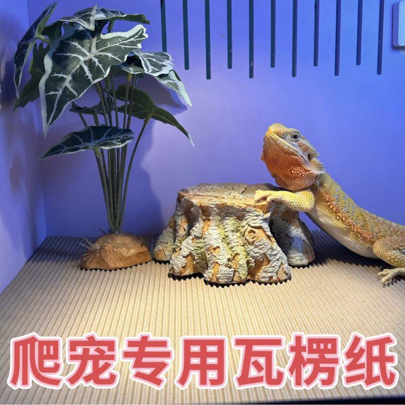 爬宠瓦楞纸饲养箱垫材牛皮纸蜥蜴鬃狮守宫保温箱垫纸其他