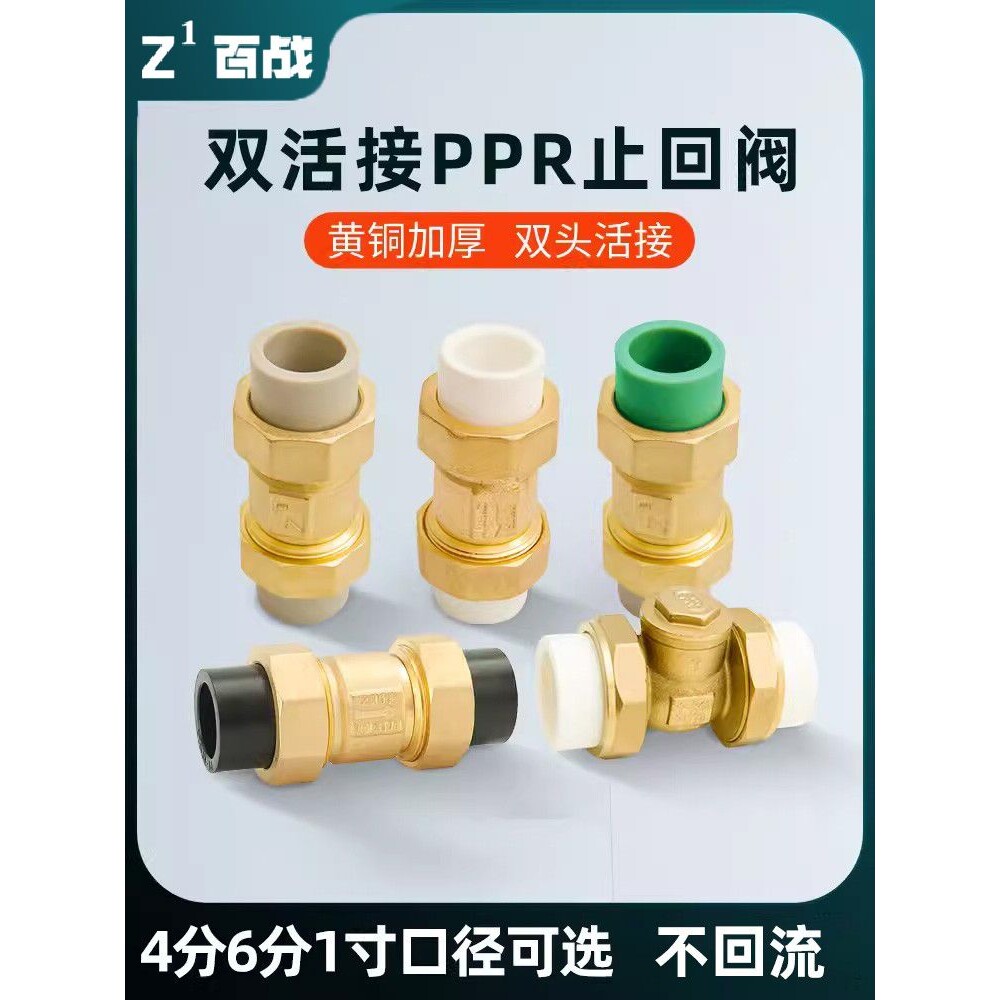 25ppr止回阀单向阀热熔水管表配件32活接4 6分PE40卧立式逆止阀50