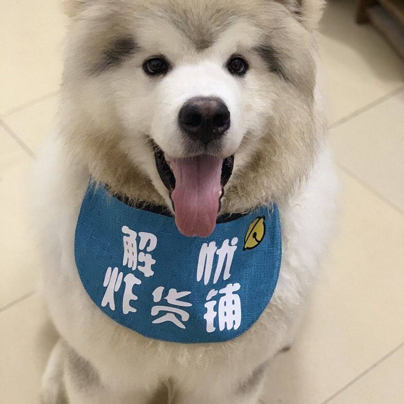定 制名字宠物狗狗萨摩金毛阿拉斯加松狮泰迪三角巾防水围嘴口水