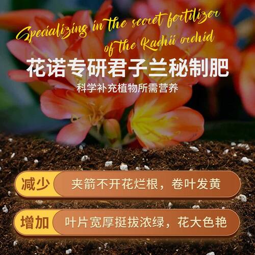 君子兰专用土营养土兰花科肥料盆栽花卉有机种植土壤养花泥土肥料