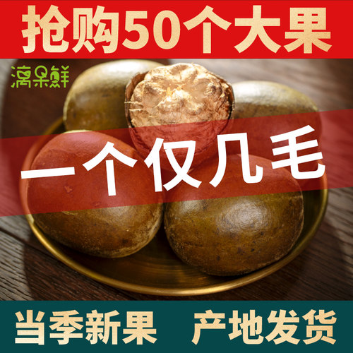 漓果鲜传统桂林永福特产罗汉果