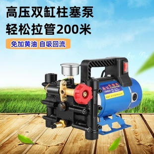 12V24V隆迈打药机手提式 高压柱塞泵果树喷雾器220V双缸高压打药泵