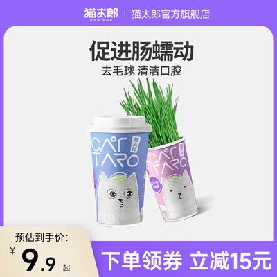 猫太郎cattaro水培用品猫薄荷