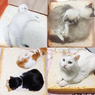 速发ast cushio doi cusuio dog cushgo pet  eep chshio