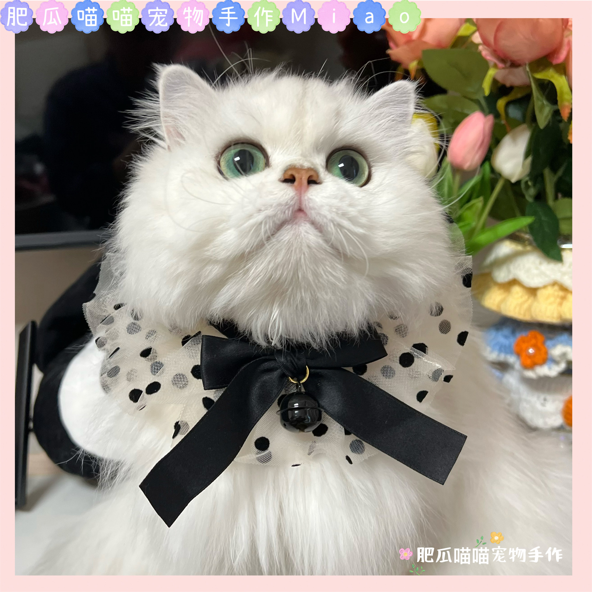 韩系ins波点猫咪蕾丝仙女围脖狗狗博美比熊泰迪装饰品围兜防弄脏