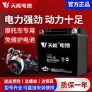 天能摩托车电瓶12V通用豪爵踏板车本田雅马哈跨骑车免维护蓄电池