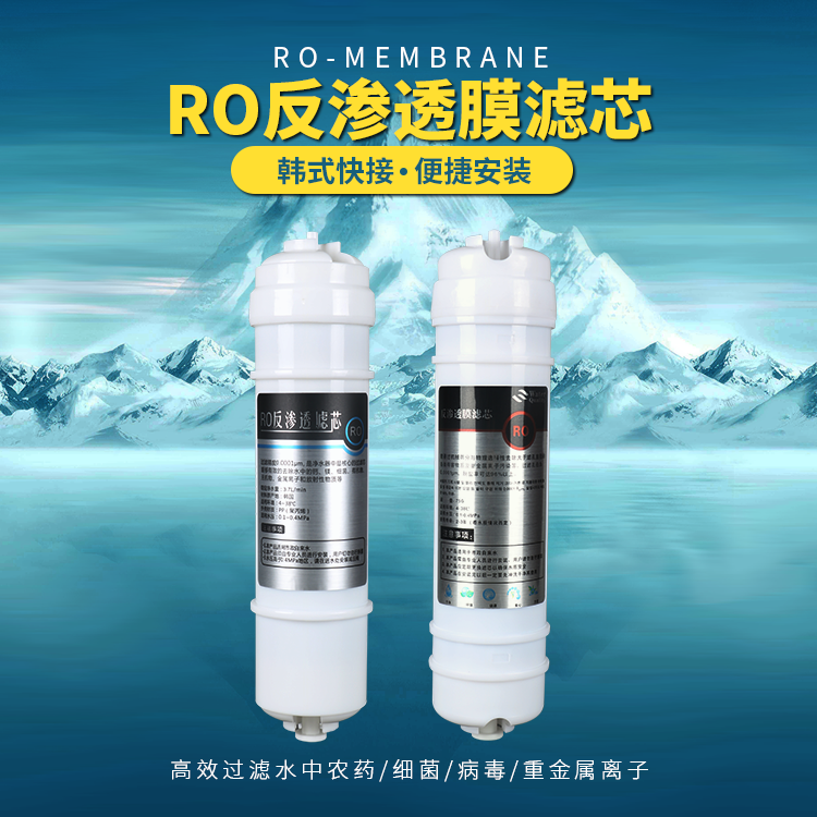 反渗透RO膜快接净水器滤芯75g