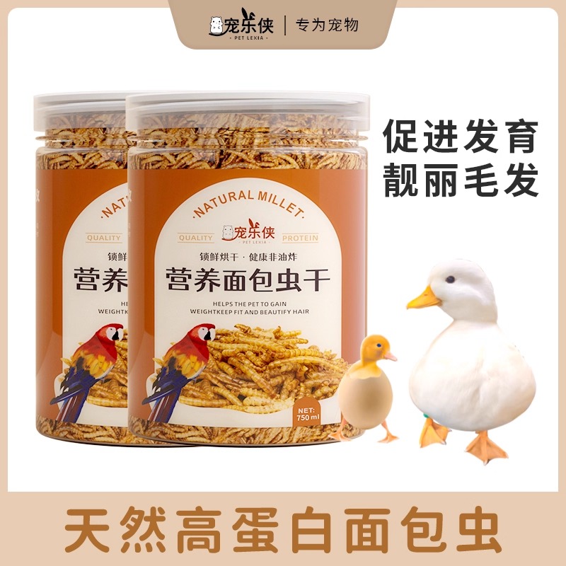 小鸭子零食面包虫干饲料面包虫