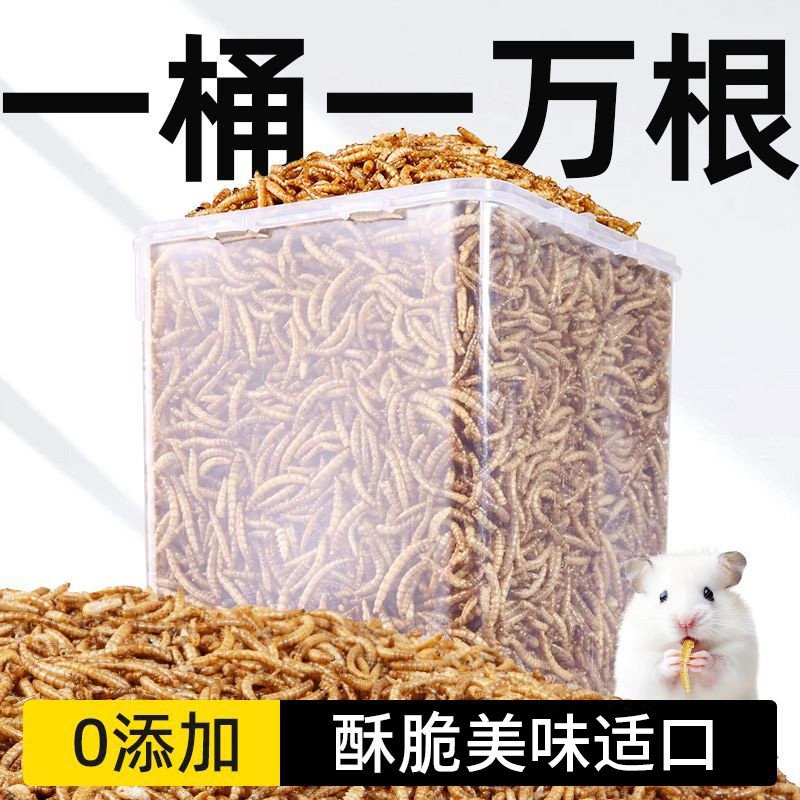 仓鼠粮食小金丝熊营养主粮用品大全套专用爱吃的饲料面包虫干食物