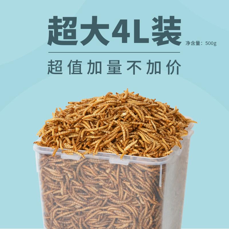 面包虫干仓鼠零食黄粉虫鹦鹉鸟龟粮食金丝熊饲料刺猬黄粉虫用品4L