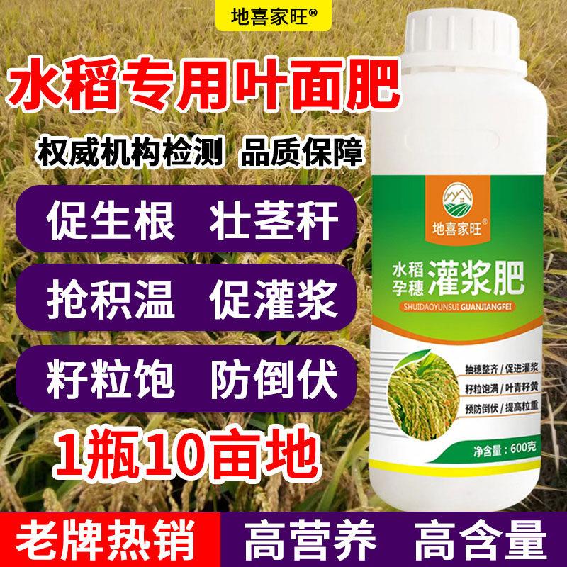水稻高产专用叶面肥抗倒伏促早熟