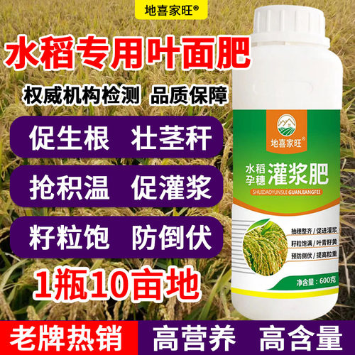 水稻高产专用叶面肥抗倒伏促早熟