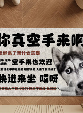 你空手来啊丝圈地垫入户门地毯