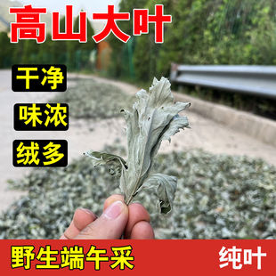 高山野生端午艾草叶泡脚泡澡无梗熏香晒干新鲜艾灸月子纯艾叶无梗