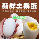 12枚特大生鹅蛋120 140克双黄蛋正宗土鹅蛋农家散养新鲜孕妇精品