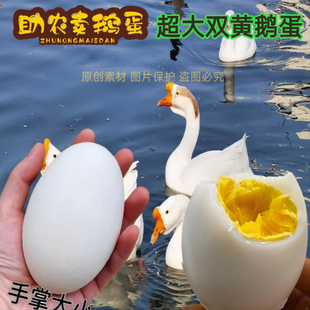 12枚特大生鹅蛋220 260克双黄蛋正宗土鹅蛋农家散养新鲜孕妇精品