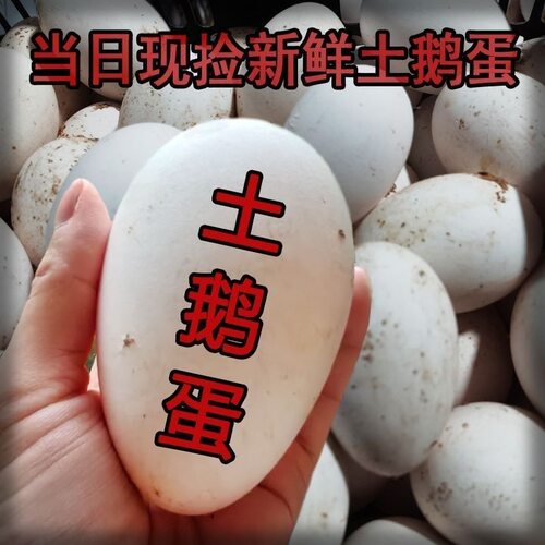 12枚特大生鹅蛋220-260克双黄蛋正宗土鹅蛋农家散养新鲜孕妇精品