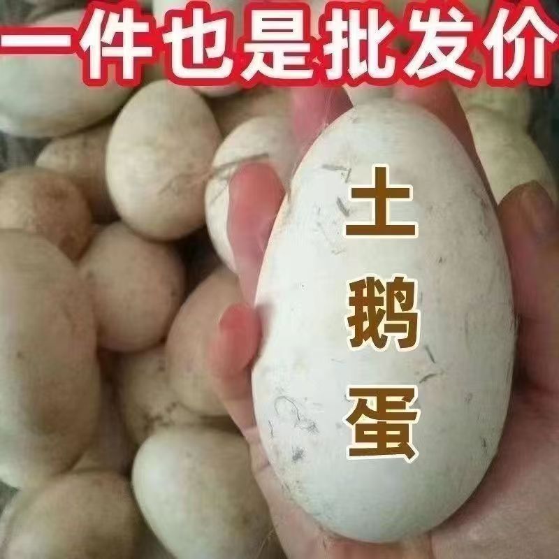 12枚特大生鹅蛋120-140克双黄蛋正宗土鹅蛋农家散养新鲜孕妇精品