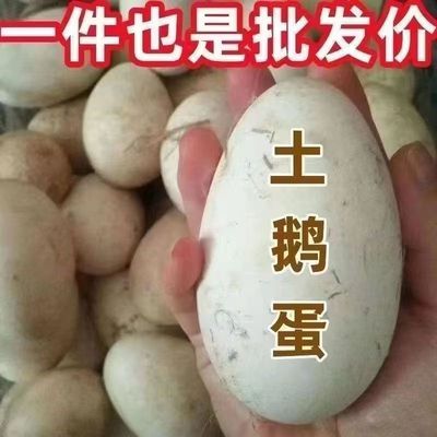 12枚特大生鹅蛋120-140克双黄蛋正宗土鹅蛋农家散养新鲜孕妇精品