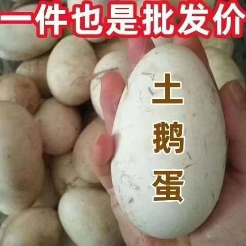 12枚特大生鹅蛋120-140克双黄蛋正宗土鹅蛋农家散养新鲜孕妇精品