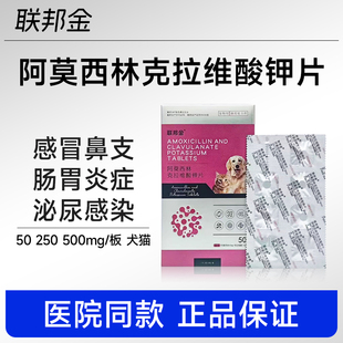 联邦金阿莫西林克拉维酸钾片感冒鼻支皮肤炎症尿频尿闭尿血消炎