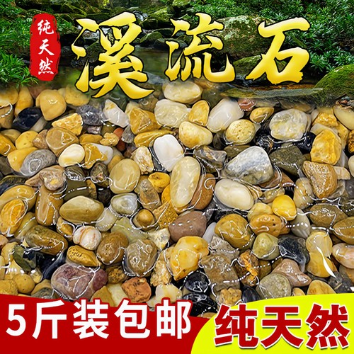 天然溪流石鱼缸专用铺底砂小石子