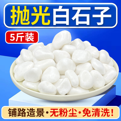 5斤抛光鹅卵石天然白石子小白玉石头多肉植物装饰花盆栽铺面鱼缸